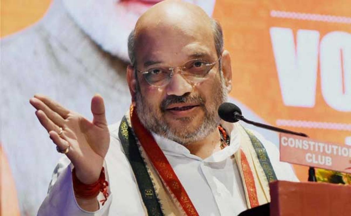 Nitish Kumar Vote Katwa, Will Divide Votes: Amit Shah In Varanasi